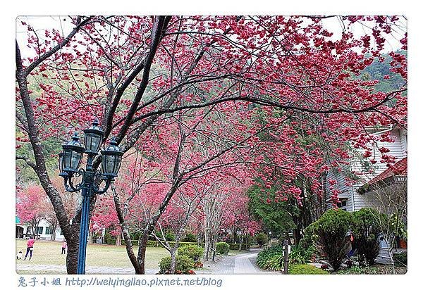 IMG_6665-1_副本.jpg