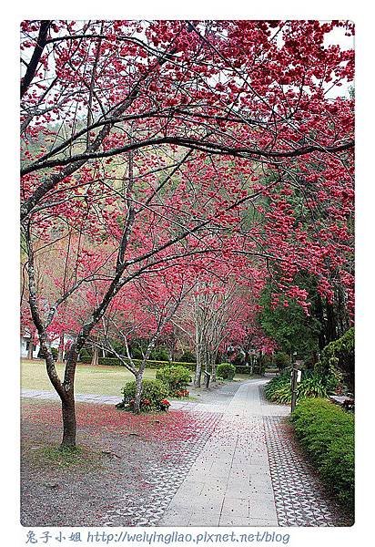 IMG_6668-1_副本.jpg
