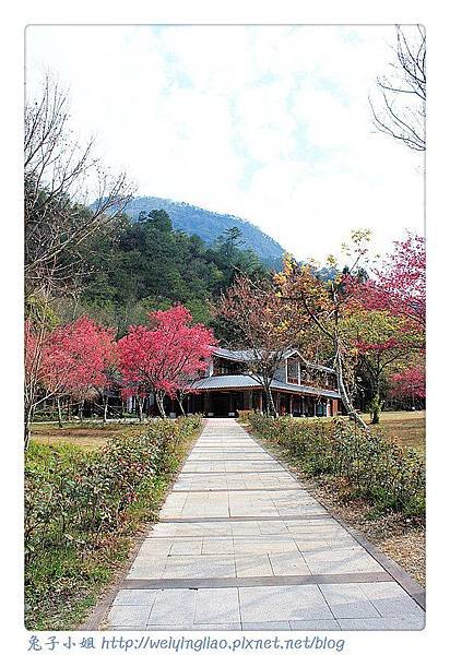 IMG_6671-1_副本.jpg