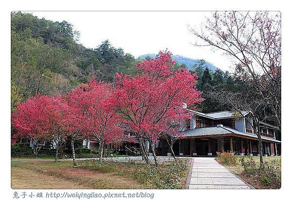 IMG_6675-1_副本.jpg