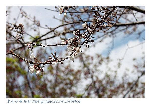 IMG_6691-1_副本.jpg