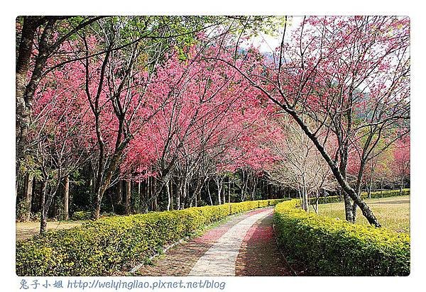 IMG_6704-1_副本.jpg