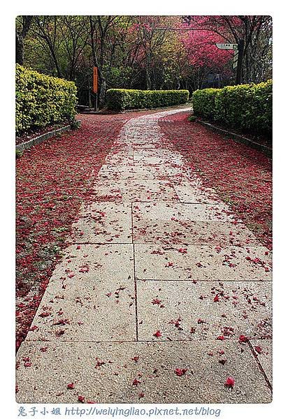 IMG_6719-1_副本.jpg