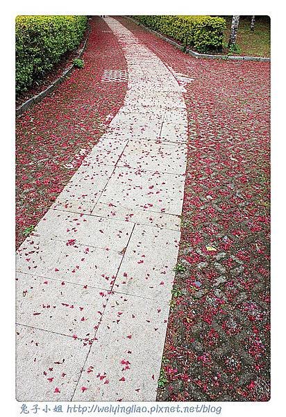 IMG_6723-1_副本.jpg