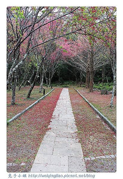 IMG_6727-1_副本.jpg