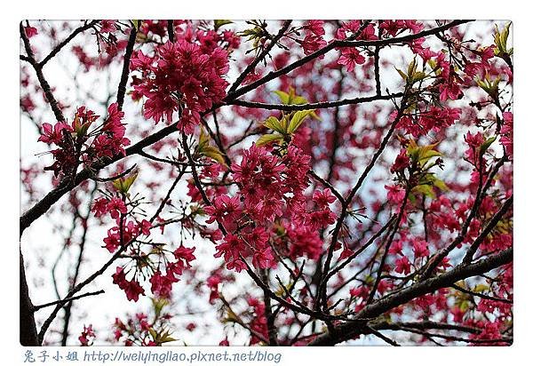 IMG_6742-1_副本.jpg