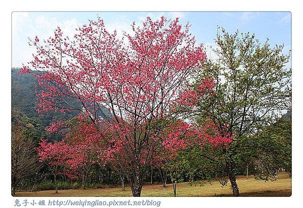 IMG_6758-1_副本.jpg