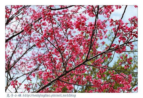 IMG_6762-1_副本.jpg