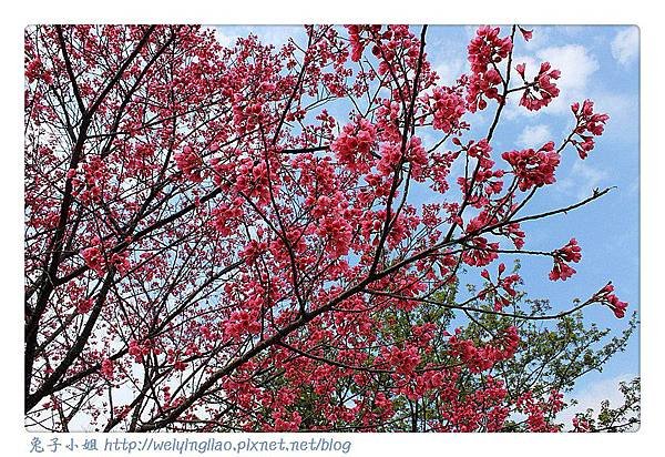 IMG_6767-1_副本.jpg