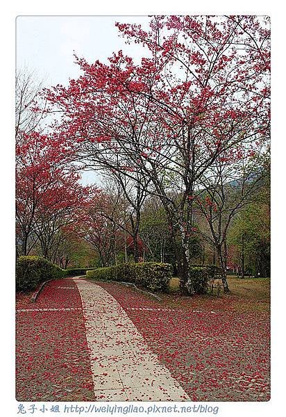 IMG_6794-1_副本.jpg