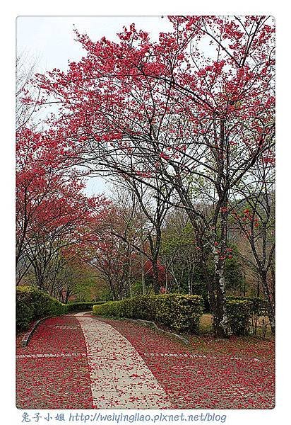 IMG_6795-1_副本.jpg