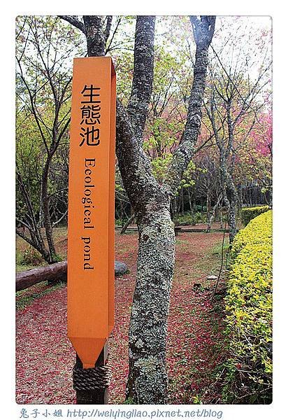 IMG_6809-1_副本.jpg