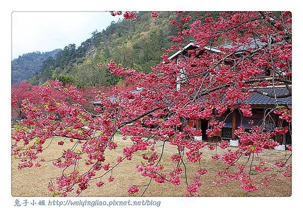 IMG_6826-1_副本.jpg