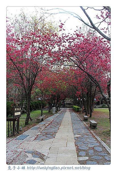 IMG_6861-1_副本.jpg