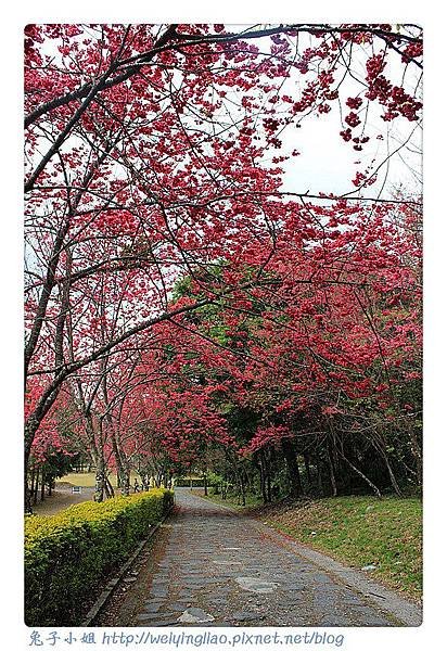 IMG_6880-1_副本.jpg