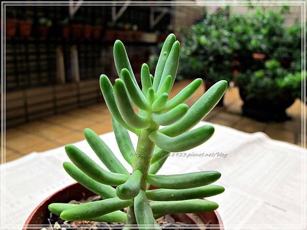 00063-05《買肉。省思II》