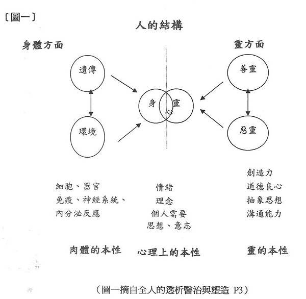 掃描