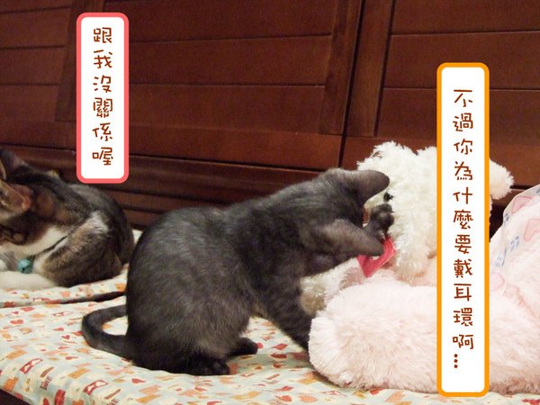 20101014007.jpg