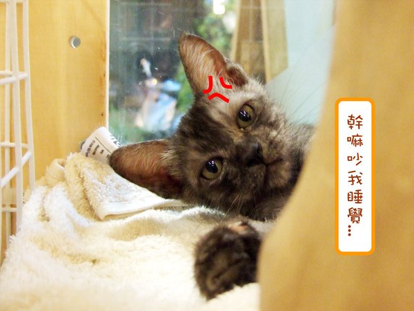 20101014001.jpg
