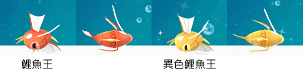 色違_鯉魚王_正面ok.png