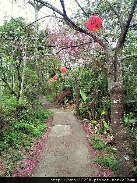 20160313_B42-獨立山步道.jpg