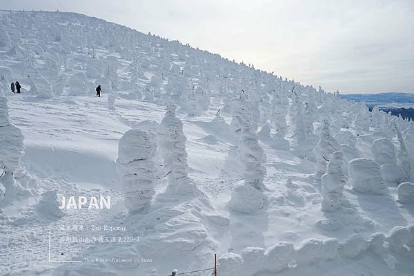 日本,山形,日本景點,山形景點,藏王樹冰,賞雪,滑雪,纜車