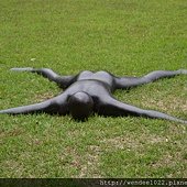 DSC_0343.JPG