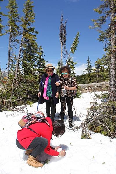 Mt Edith Cavell (3).jpg