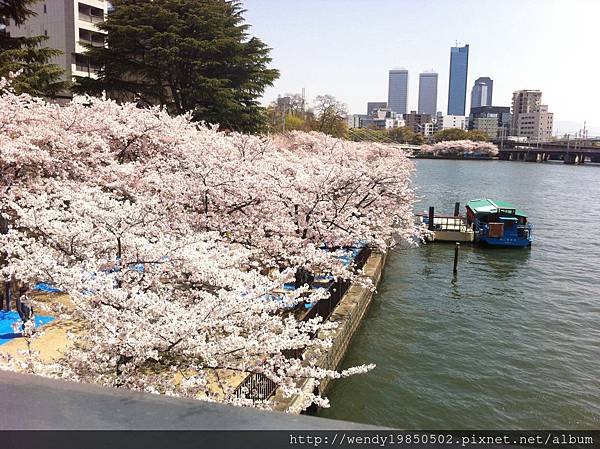 毛馬桜ノ宮公園 (1)