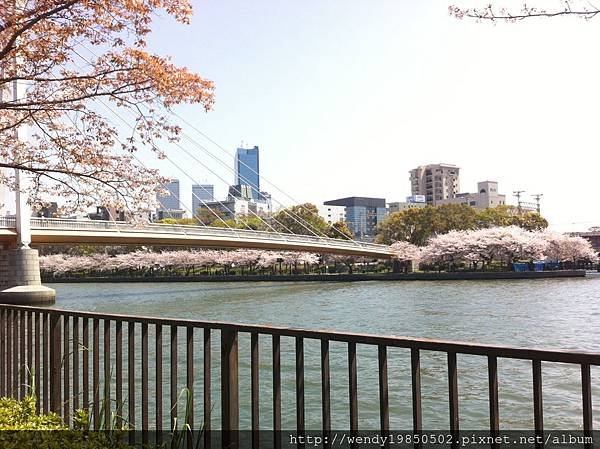 毛馬桜ノ宮公園 (4)