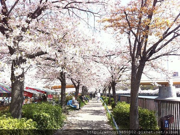 毛馬桜ノ宮公園 (5)