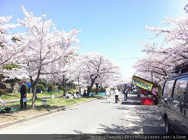 毛馬桜ノ宮公園 (6)