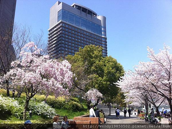 毛馬桜ノ宮公園 (11)