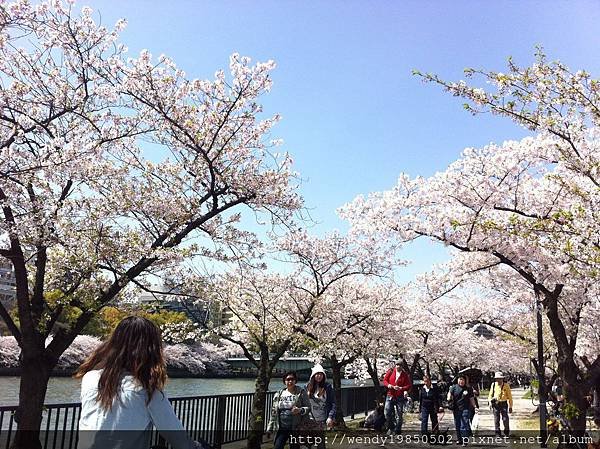 毛馬桜ノ宮公園 (19)