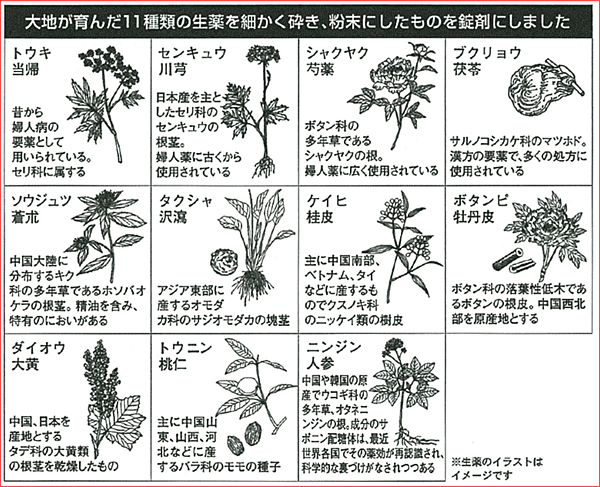 小林命母11種生藥