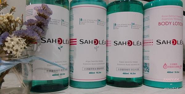 saholea-1.jpg