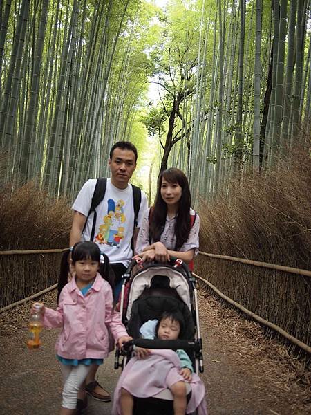 嵯峨野竹林3