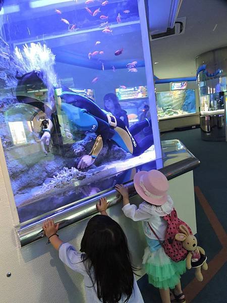 海中之道水族館18