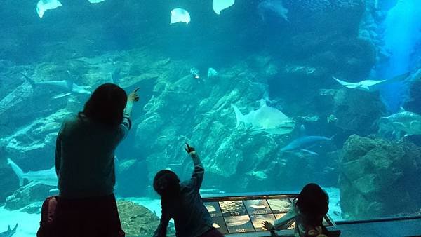 海中之道水族館21