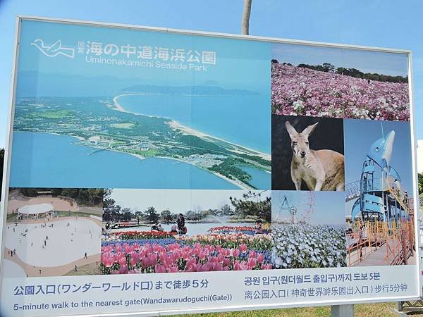 海中之道水族館2