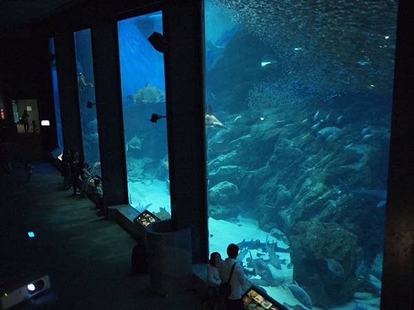 海中之道水族館20