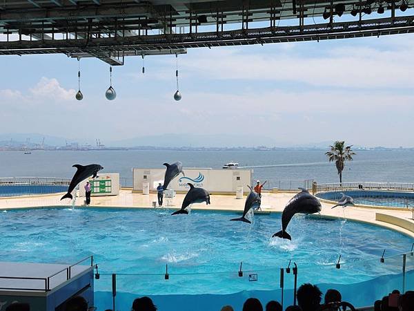 海中之道水族館10