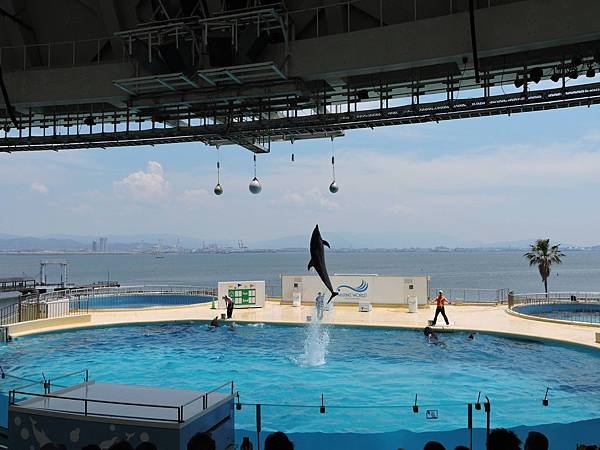 海中之道水族館12