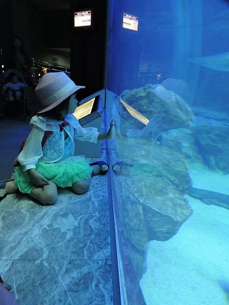 海中之道水族館23