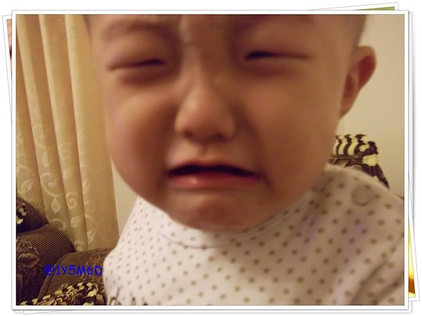 1Y5M6D 愛哭哭小至.JPG