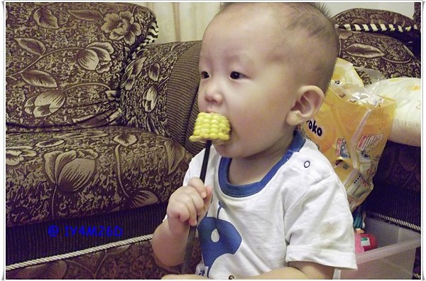1Y4M26D 玉米.JPG