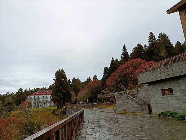 IMG20230101072230.jpg