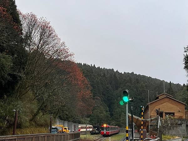 LINE_ALBUM_202311大塔山小百岳+眠月線前段_230103_237.jpg