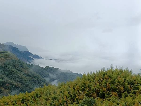 IMG20230102082500.jpg
