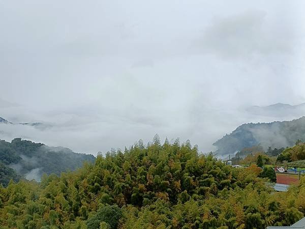 IMG20230102082506.jpg